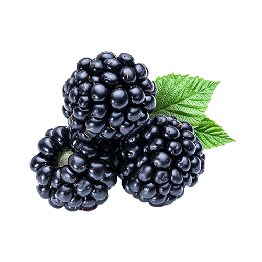 Fruits